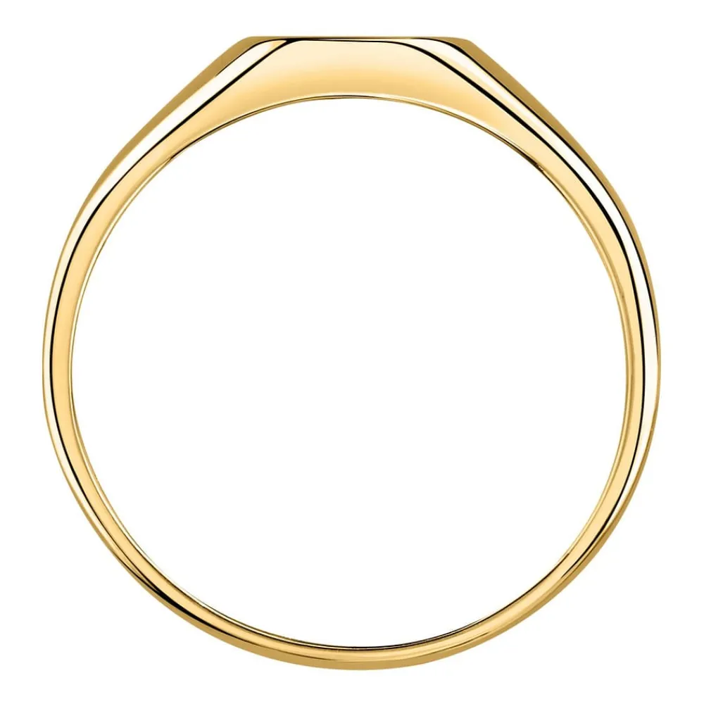 Gioielli Uomo|Anelli In Oro<Bluespirit ANELLO CHEVALIER - P.76S503000119