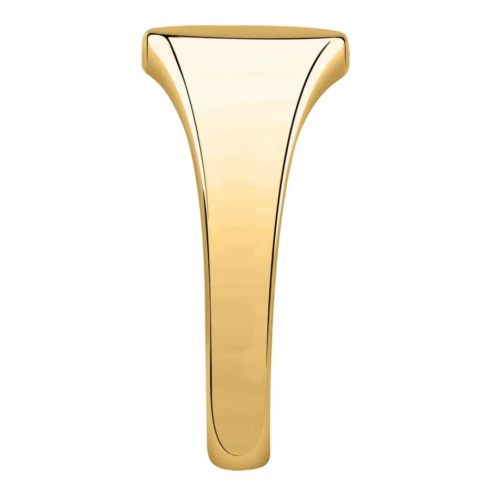 Gioielli Uomo|Anelli In Oro<Bluespirit ANELLO CHEVALIER - P.76S503000119