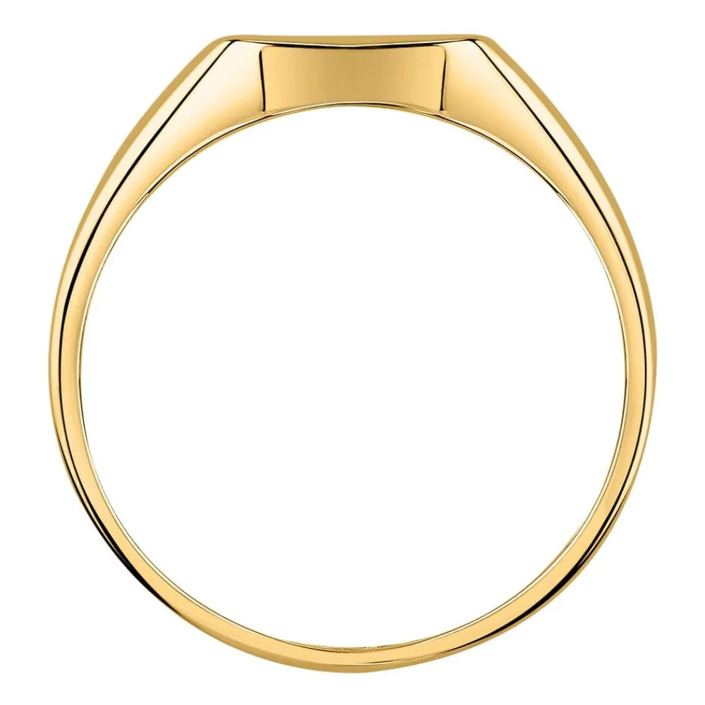 Gioielli Uomo|Anelli In Oro<Bluespirit ANELLO CHEVALIER - P.13S503000119