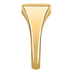 Gioielli Uomo|Anelli In Oro<Bluespirit ANELLO CHEVALIER - P.13S503000119