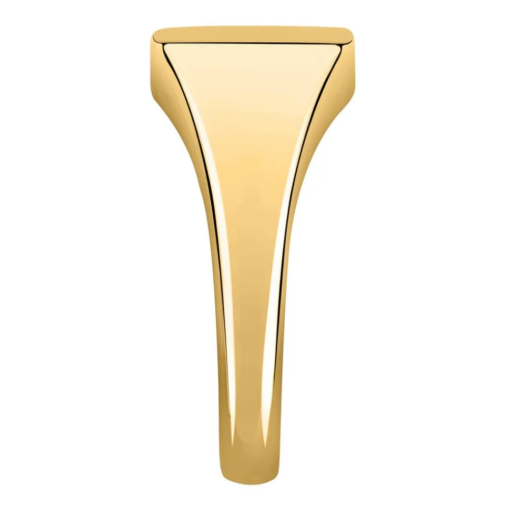 Gioielli Uomo|Anelli In Oro<Bluespirit ANELLO CHEVALIER - P.13S503000119