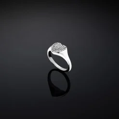 Gioielli In Argento|Anelli<Chiara Ferragni Brand ANELLO SILVER COLLECTION - J19AXD10010