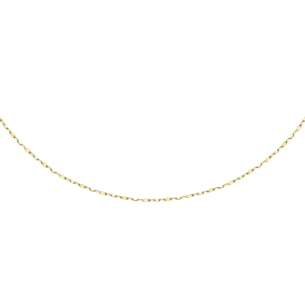 Catene|Gioielli In Oro<Bluespirit CATENA FORZATINA - P.137A09000300
