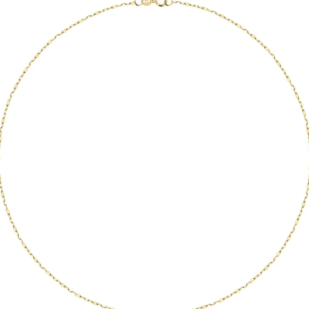 Catene|Gioielli In Oro<Bluespirit CATENA FORZATINA - P.137A09000300