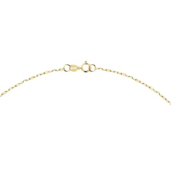 Catene|Gioielli In Oro<Bluespirit CATENA FORZATINA - P.137A09000300