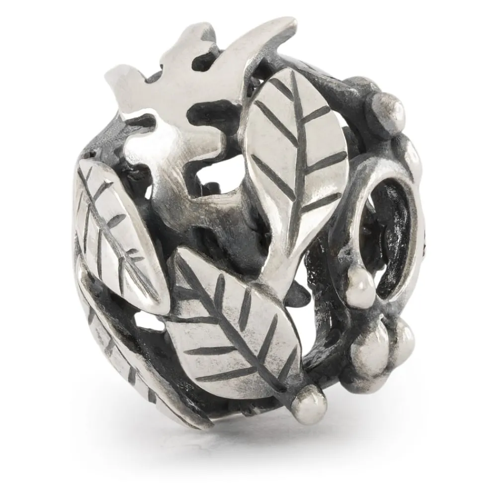Gioielli In Argento|Gioielli Uomo<Trollbeads CHARM AUTUNNO - TAGBE-60012