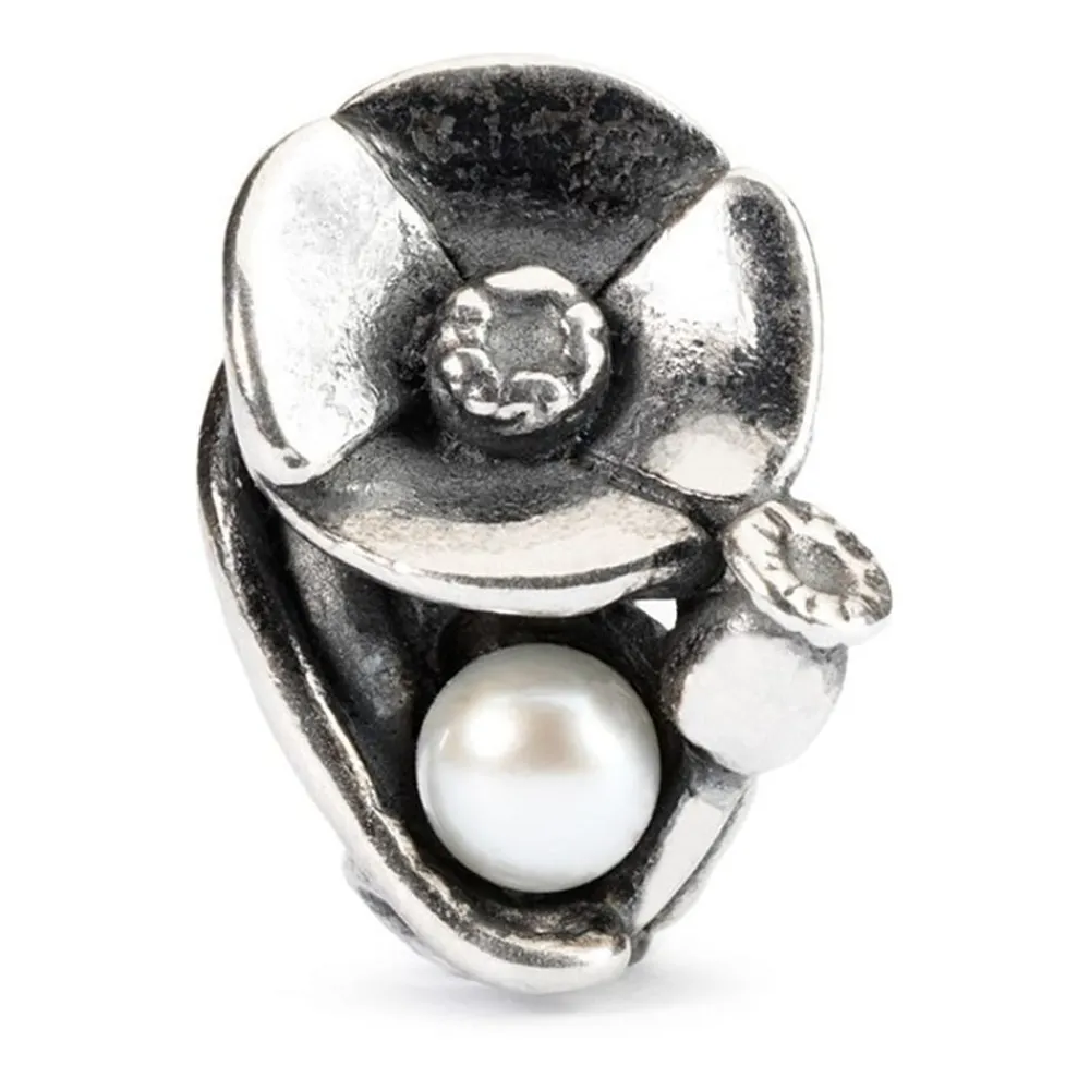 Gioielli In Argento<Trollbeads CHARM - TAGBE-00034