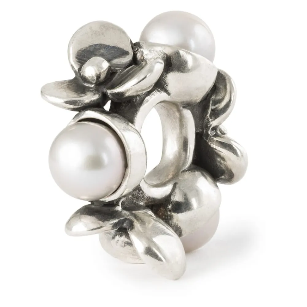 Gioielli In Argento<Trollbeads CHARM - TAGBE-00308