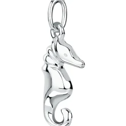 Gioielli In Argento|Gioielli Donna<Bluespirit CIONDOLO CIONDOLI - P.25Z706002400