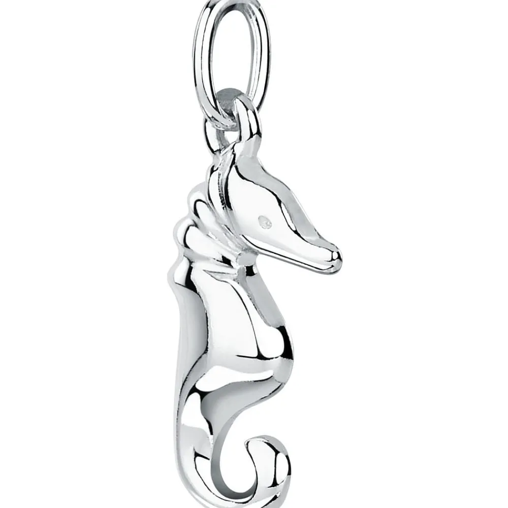 Gioielli In Argento|Gioielli Donna<Bluespirit CIONDOLO CIONDOLI - P.25Z706002400