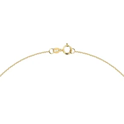 Gioielli Donna|Collane In Oro<Bluespirit COLLANA SHINE - P.13S610000600