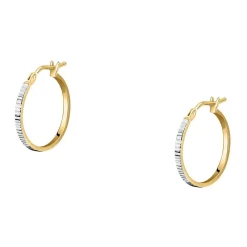 Gioielli Donna|Orecchini<Bluespirit Orecchini a Cerchio - Creole in Oro, ⌀15mm