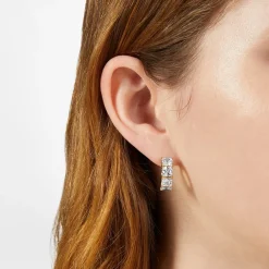 Orecchini|Gioielli In Acciaio<Chiara Ferragni Brand ORECCHINI CLASSIC - J19AVJ24