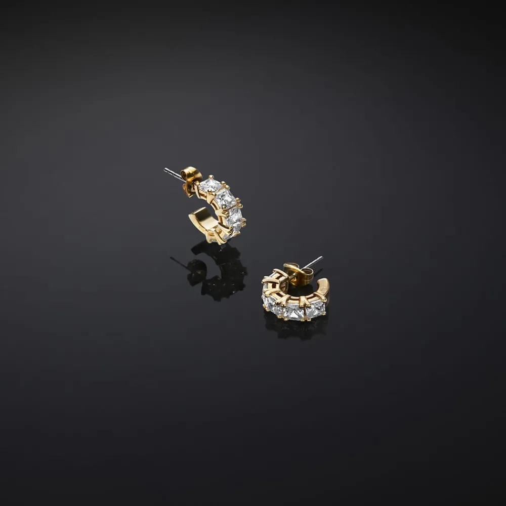Gioielli In Acciaio|Gioielli Donna<Chiara Ferragni Brand ORECCHINI CLASSIC - J19AVJ26