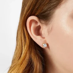 Gioielli In Acciaio<Chiara Ferragni Brand ORECCHINI CLASSIC - J19AVJ20