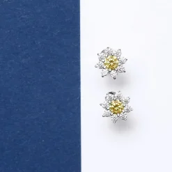 Gioielli Donna<Morellato ORECCHINI TESORI - SAIW188