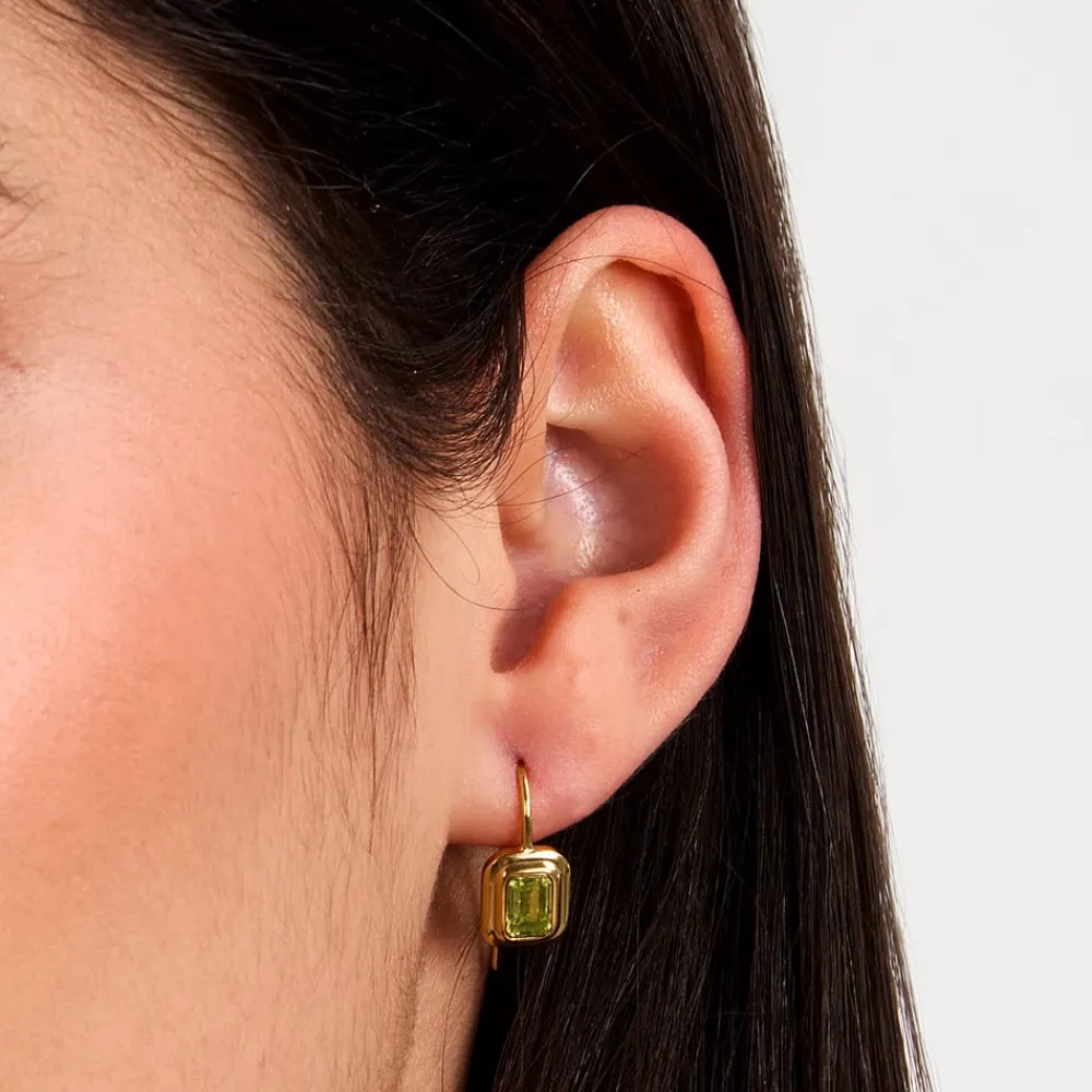 Orecchini|Orecchini In Acciaio<Trussardi ORECCHINI T-DESIGN - TJAXA26