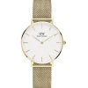 Scopri Tutti Gli Orologi|Just Time<Daniel wellington OROLOGIO PETITE EVERGOL - DW.DW00100348