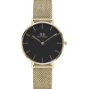 Scopri Tutti Gli Orologi<Daniel wellington OROLOGIO PETITE EVERGOL - DW.DW00100347