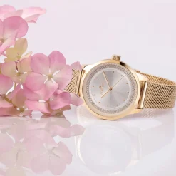 Scopri Tutti Gli Orologi|Just Time<Morellato OROLOGIO BS LIMITED EDITION - R0153166502